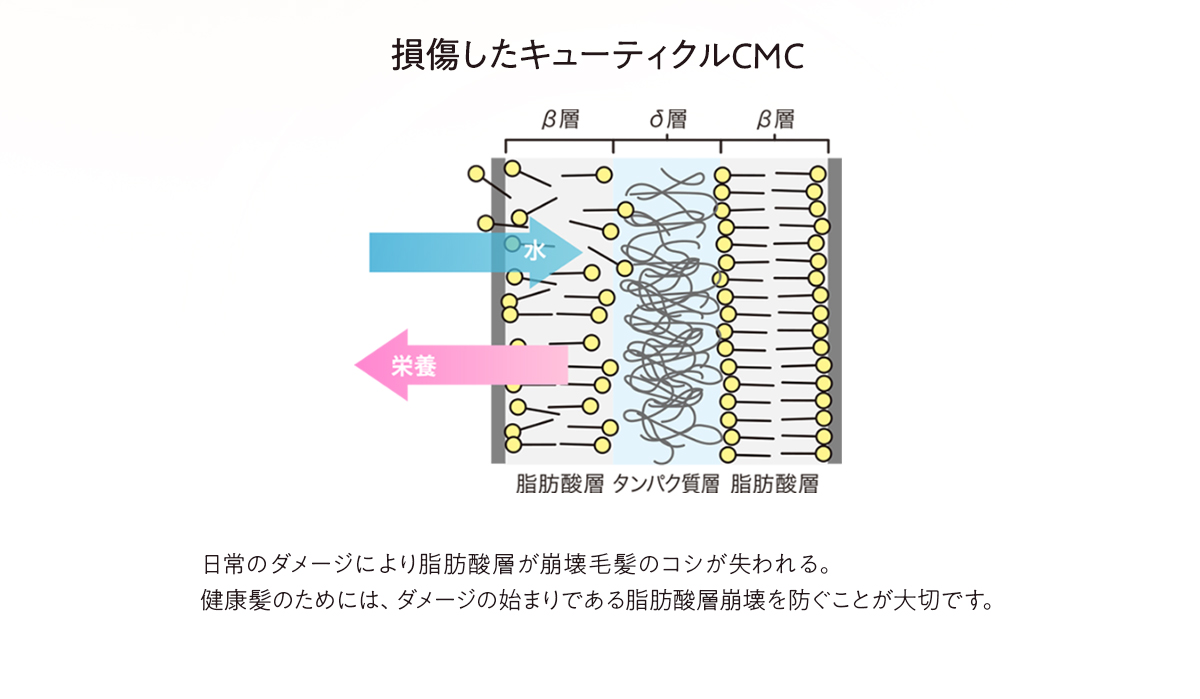 損傷したキューティクルCMC