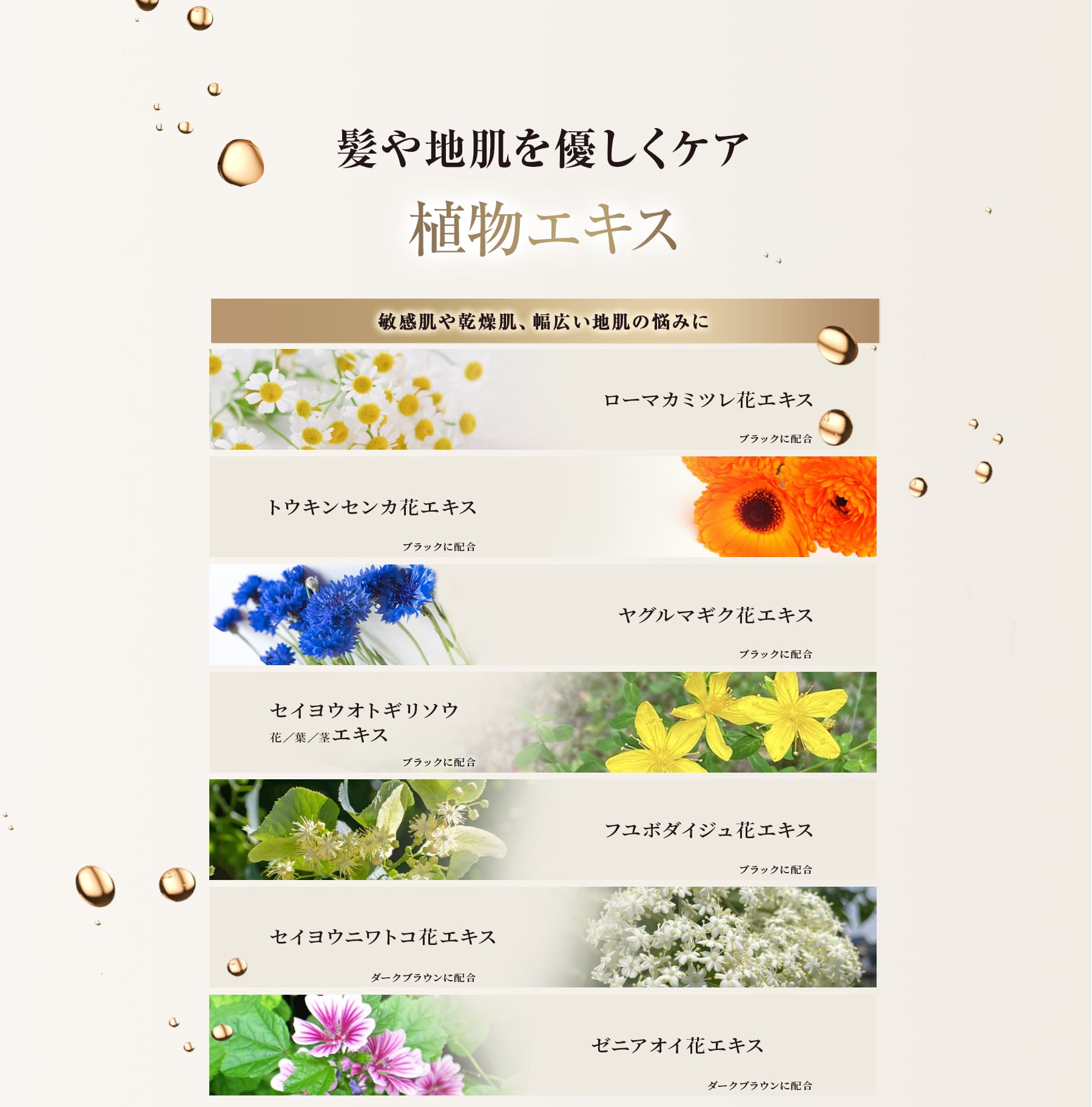 髪や地肌を優しくケア植物エキス
