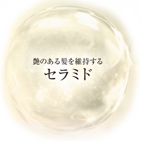 3つの有効成分輝くつや髪へ