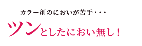 SUNA ミラクルバブルカラーシャンプー