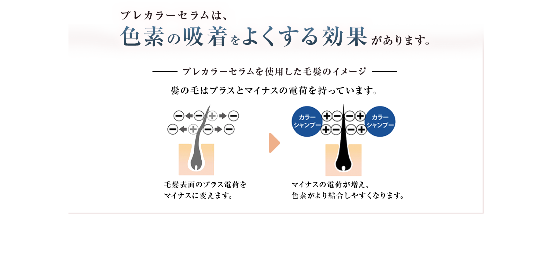空気で染める新技術SUNA ミラクルバブルカラーシャンプー