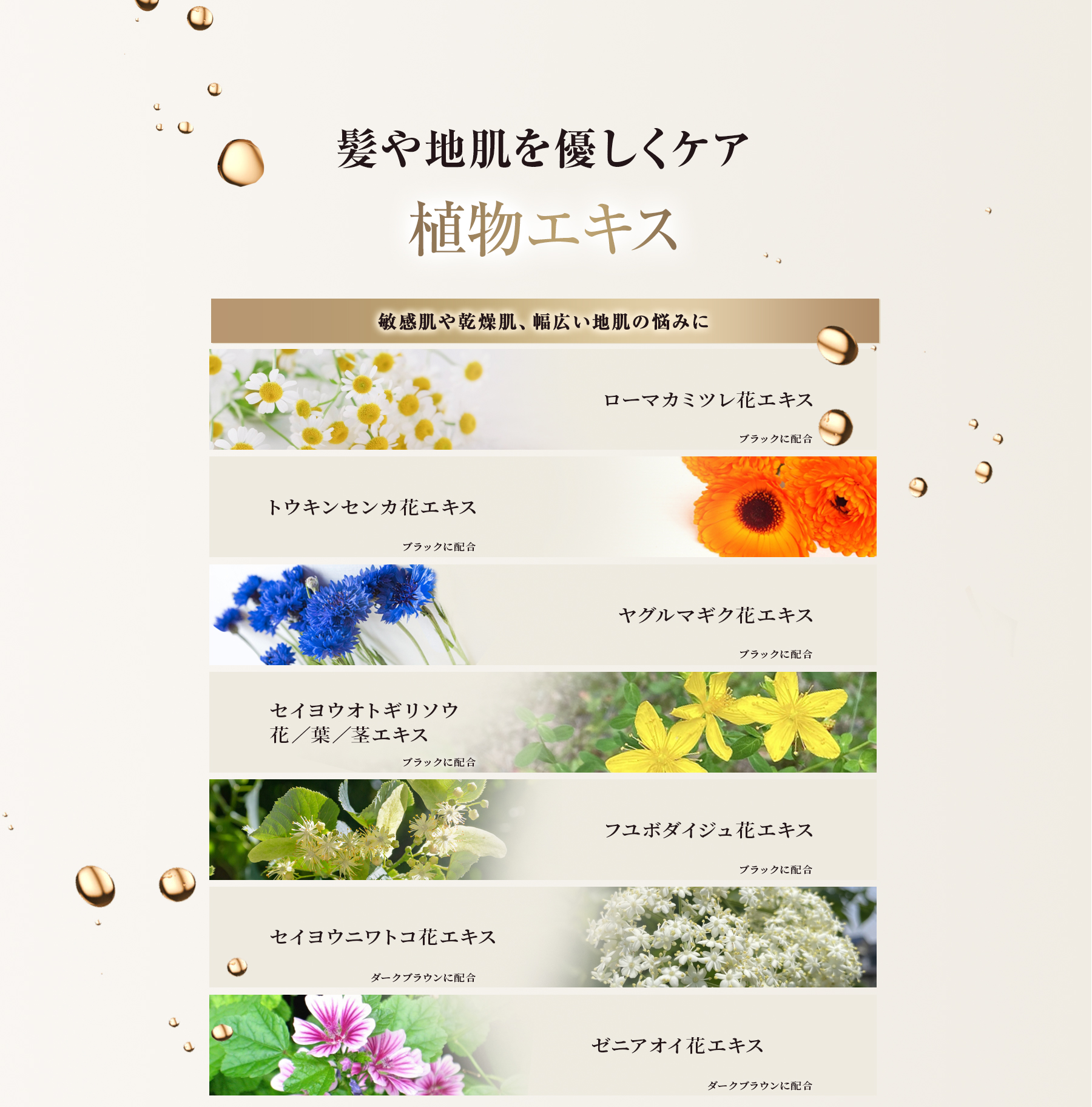 髪や地肌を優しくケア植物エキス