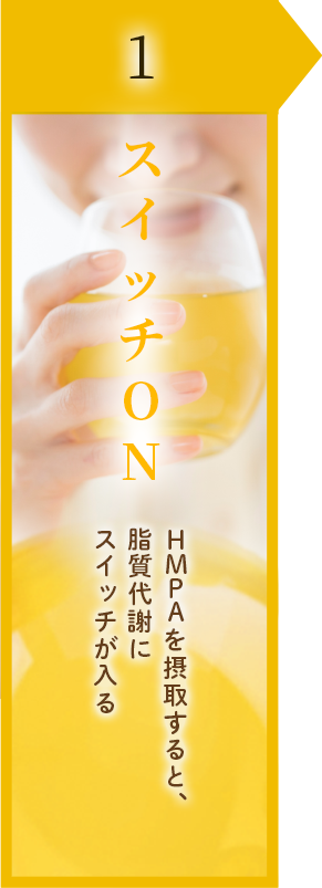 機能性関与成分 HMPA
    ポリフェノールの代謝物であるコアポリフェノール®を直接摂取出来る米ぬか由来の発酵物。※コアポリフェノールは丸善製薬株式会社の登録商標です。BMIが高めの方の内臓脂肪と
    ウエスト周囲径を減らします。