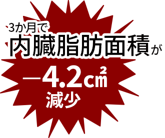 腹部内臓脂肪面積の変化量3か月で
内臓脂肪面積が－4.2㎠減少