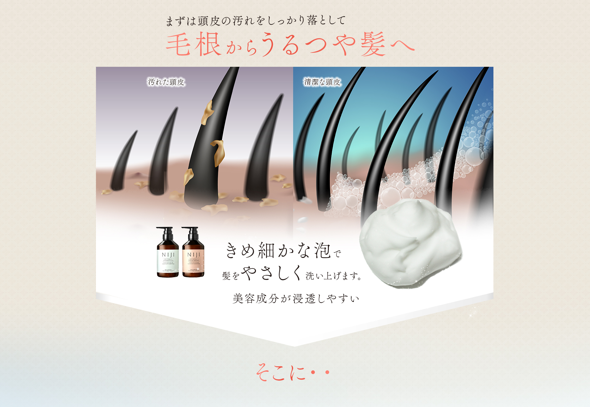 頭皮の汚れをしっかり落として毛根からうるつや髪へ　NIJIリズミックシャンプ-&トリートメント