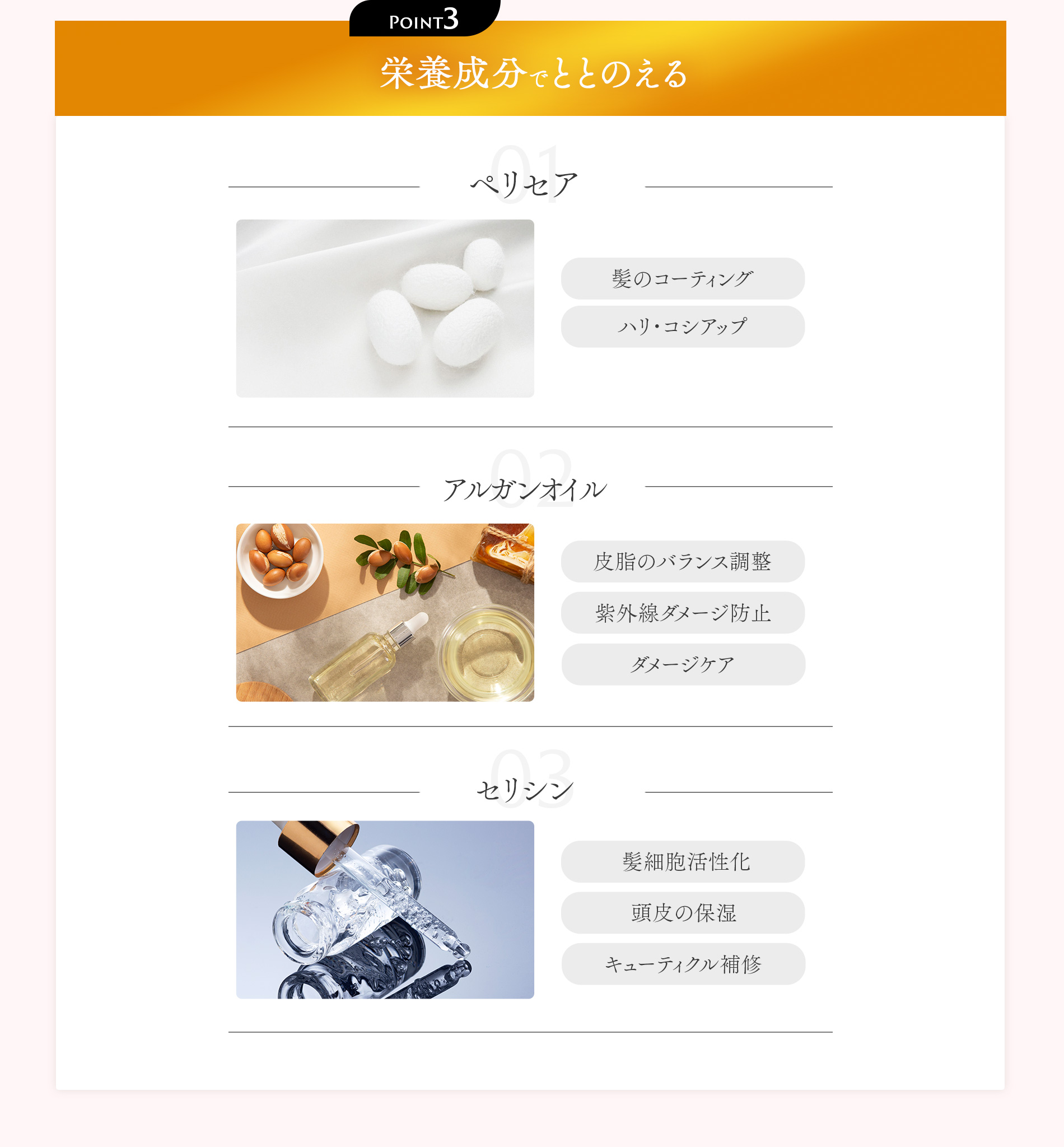 栄養成分でととのえる　シャンプー&トリートメントNIJIリズミック