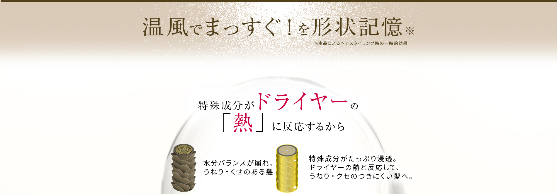 いつものようにシャンプーしただけでなぜこんなにちがうの?それは特殊成分がドライヤーの「熱」に反応するから