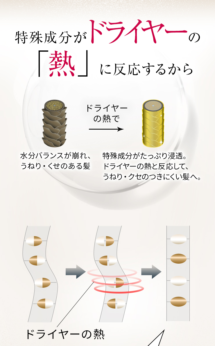 いつものようにシャンプーしただけでなぜこんなにちがうの?それは特殊成分がドライヤーの「熱」に反応するから