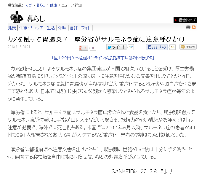 カメの絶滅とサルモネラ症 ダイエットサポートや健康食品 医薬品の通販 けんこーさかす カメの絶滅とサルモネラ症 ダイエットサポートや健康食品 医薬品の通販 けんこーさかす