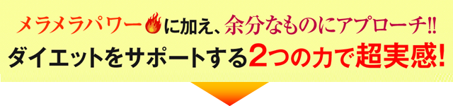 メラメラパワーに加え、余分なものにアプローチ!! ダイエットをサポートする2つの力で超実感!