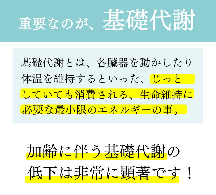 もうひとつ！重要なのが、基礎代謝　加齢に伴う基礎代謝の低下は非常に顕著です