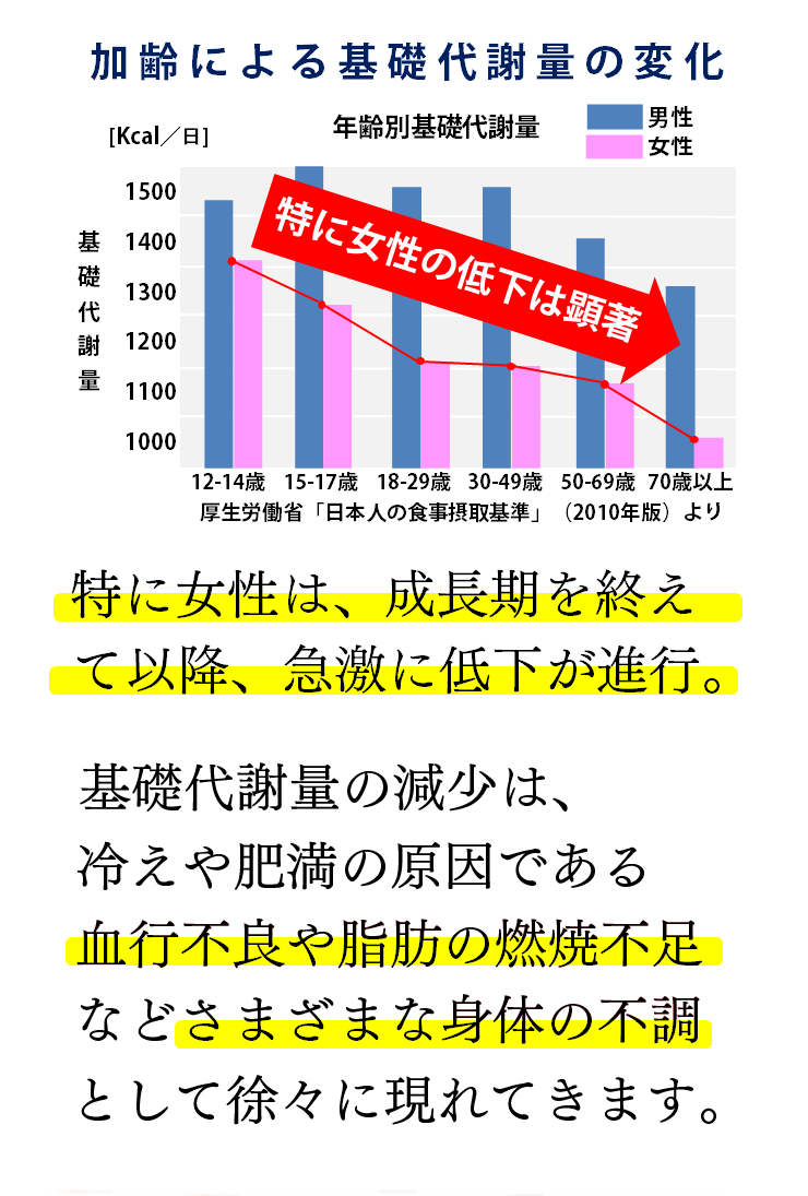 加齢による基礎代謝量の変化　特に女性は、成長期を終えて以降、急激に低下が進行