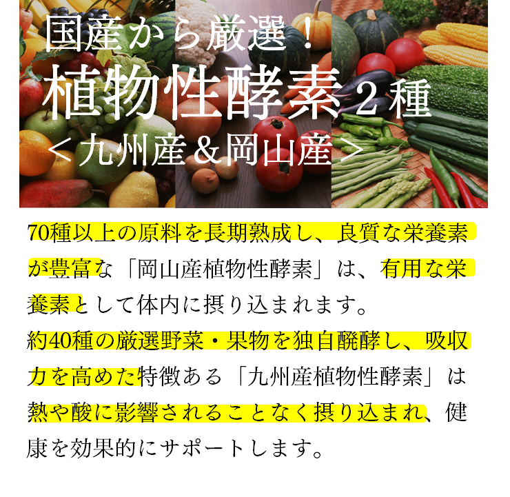 国産から厳選　植物性酵素2種＜九州産＆岡山産＞