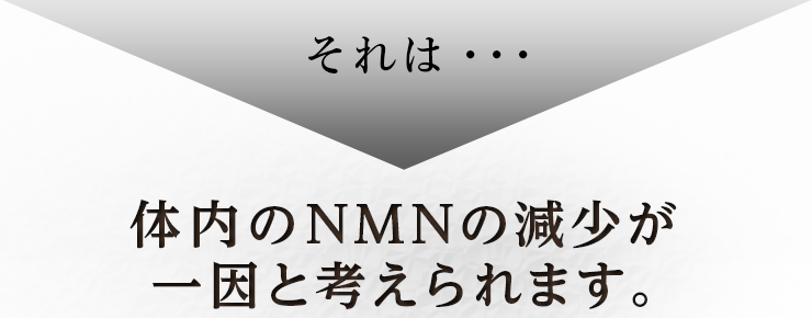 それは・・・体内のNMNの減少が一因と考えられます。