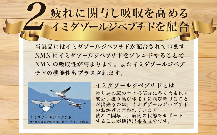 2疲れに関与し吸収を高めるイミダゾールジペプチドを配合