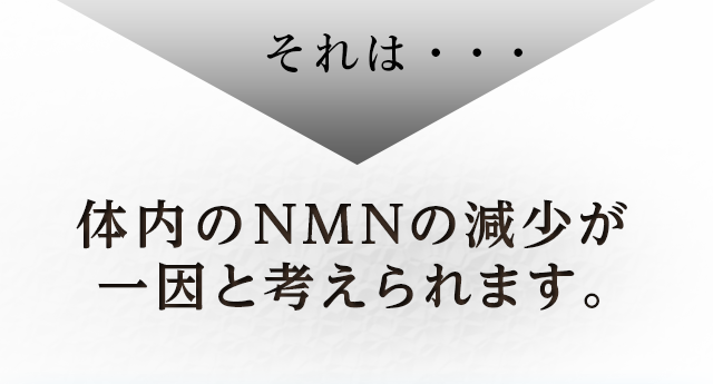 それは・・・体内のNMNの減少が一因と考えられます。