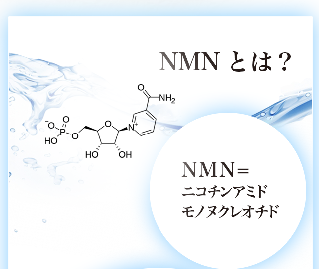 NMNとは？NMNの正式名称は「ニコチンアミドモノヌクレオチド」