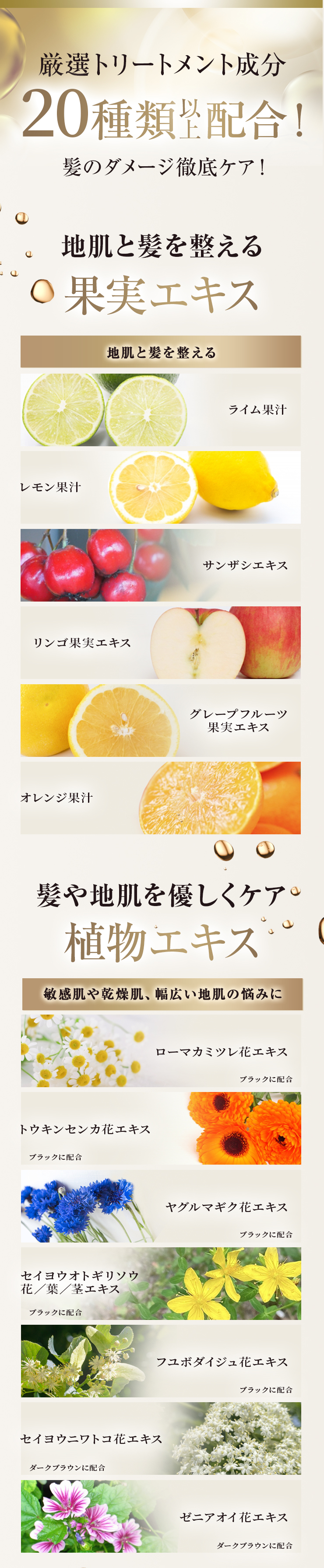 SUNA(スーナ) ミラクルバブルカラーシャンプー ダークブラウン 140g F36